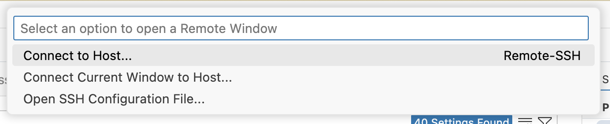 The Remote SSH menu